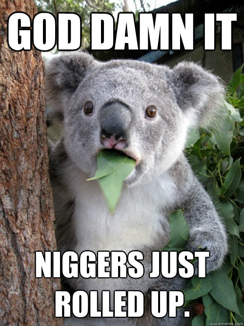 God Damn it Niggers just rolled up.  koala bear