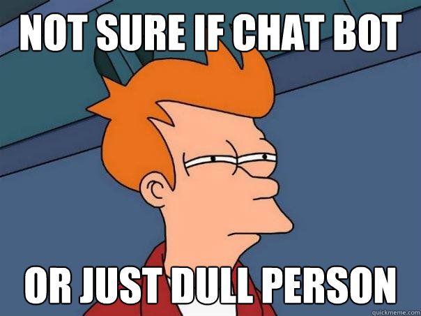 Not sure if chat bot or just dull person  Futurama Fry