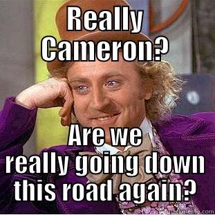 REALLY CAMERON? ARE WE REALLY GOING DOWN THIS ROAD AGAIN? Condescending Wonka