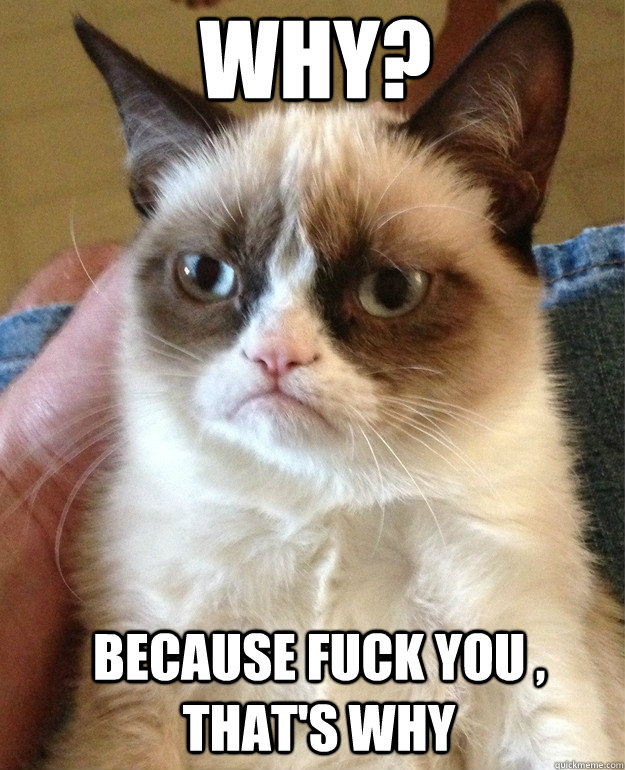 Why? Because fuck you , that's why  Grumpy Cat