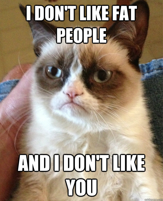 I don't like fat people and i don't like you  Grumpy Cat