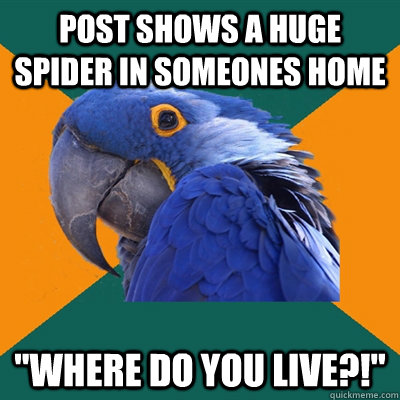 post shows a huge spider in someones home 