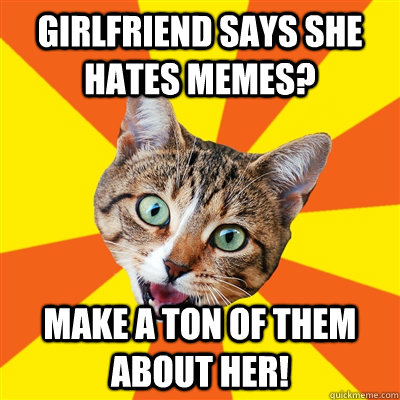 Girlfriend says she hates memes? make a ton of them about her!  Bad Advice Cat