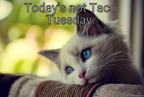 TODAY'S NOT TACO TUESDAY.  First World Problems Cat