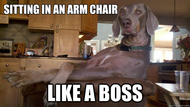 sitting in an arm chair like a boss - sitting in an arm chair like a boss  Misc