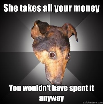 She takes all your money You wouldn't have spent it anyway  Depression Dog