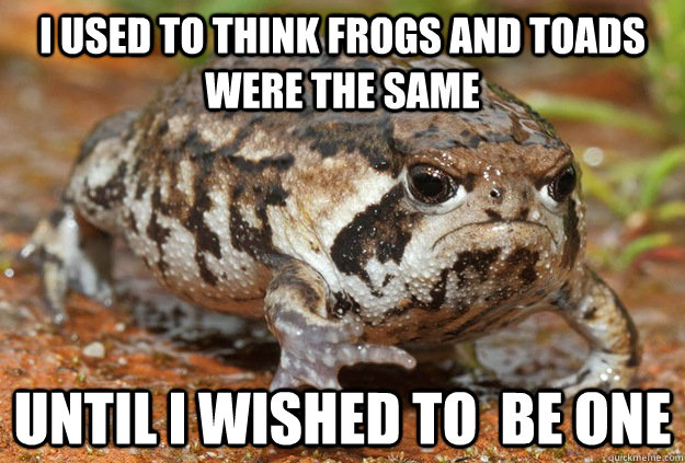 i used to think frogs and toads were the same until i wished to  be one - i used to think frogs and toads were the same until i wished to  be one  Misc