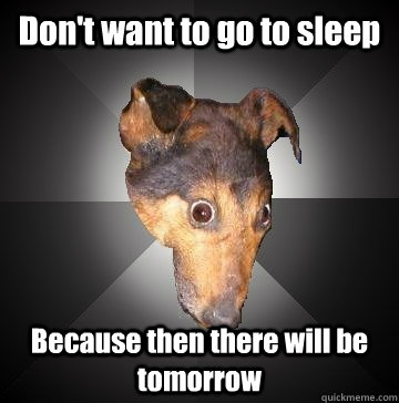 Don't want to go to sleep Because then there will be tomorrow  Depression Dog