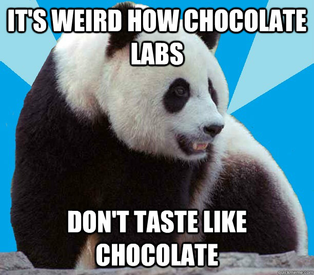 It's weird how Chocolate labs don't taste like chocolate - It's weird how Chocolate labs don't taste like chocolate  Bloodlust Panda