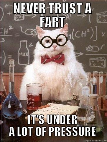 NEVER TRUST A FART IT'S UNDER A LOT OF PRESSURE Chemistry Cat