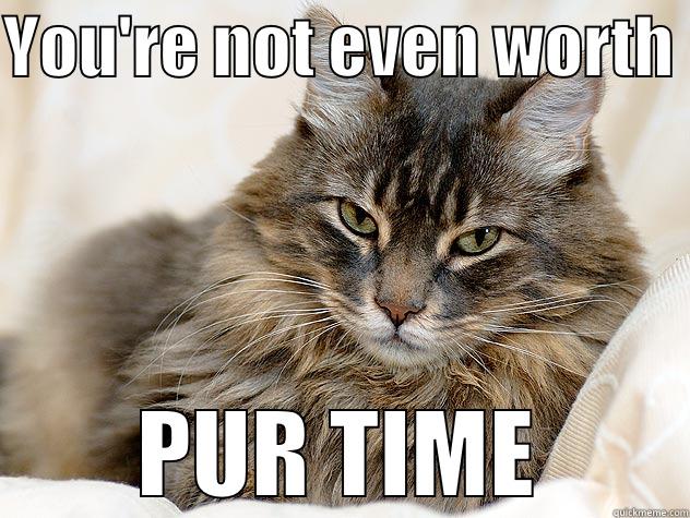 HAHA Cat - YOU'RE NOT EVEN WORTH  PUR TIME Misc