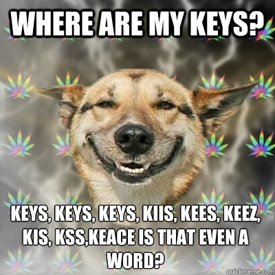 where are my keys? keys, keys, keys, kiis, kees, keez, kis, kss,keace is that even a word?  Stoner Dog