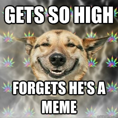 Gets so high forgets he's a meme  