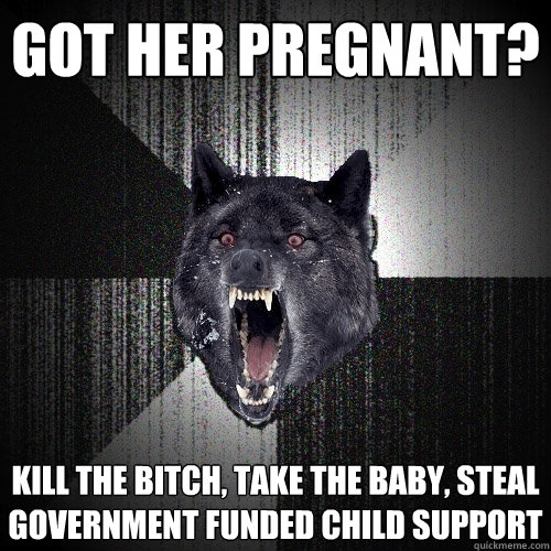 GOT HER PREGNANT? Kill the bitch, take the baby, steal government funded child support  Insanity Wolf