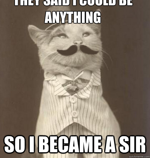 They said i could be anything so i became a sir   