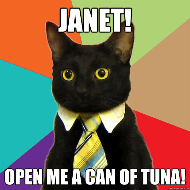 Janet! Open me a can of tuna!  Business Cat