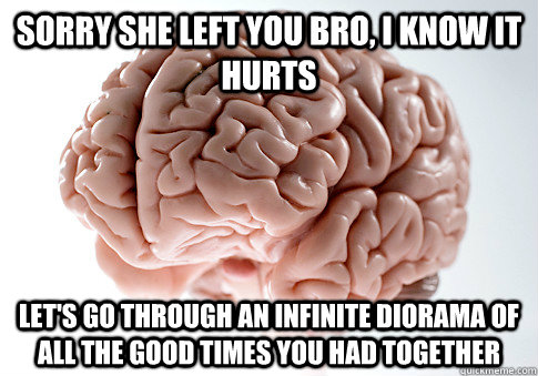 SORRY SHE LEFT YOU BRO, I KNOW IT HURTS LET'S GO THROUGH AN INFINITE DIORAMA OF ALL THE GOOD TIMES YOU HAD TOGETHER  Scumbag Brain