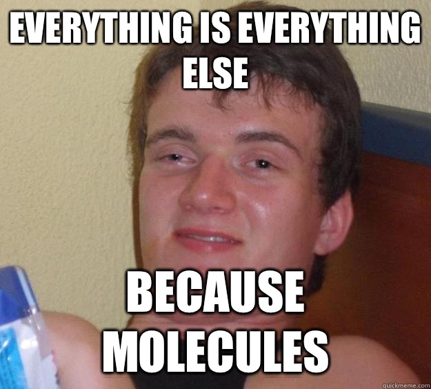 Everything is everything else Because molecules - Everything is everything else Because molecules  10 Guy