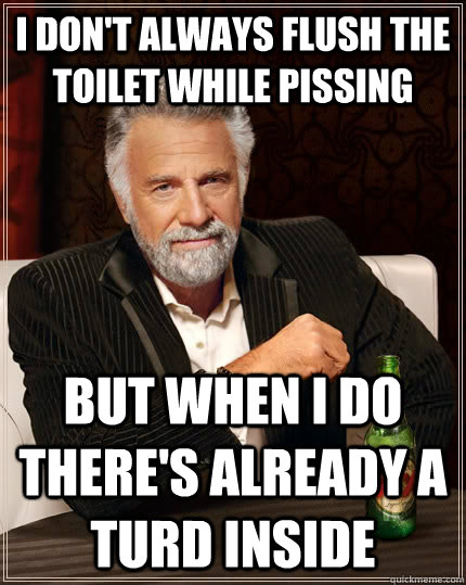 I don't always flush the toilet while pissing but when I do there's already a turd inside  The Most Interesting Man In The World