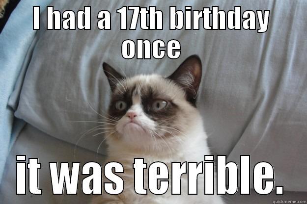 I HAD A 17TH BIRTHDAY ONCE IT WAS TERRIBLE. Grumpy Cat