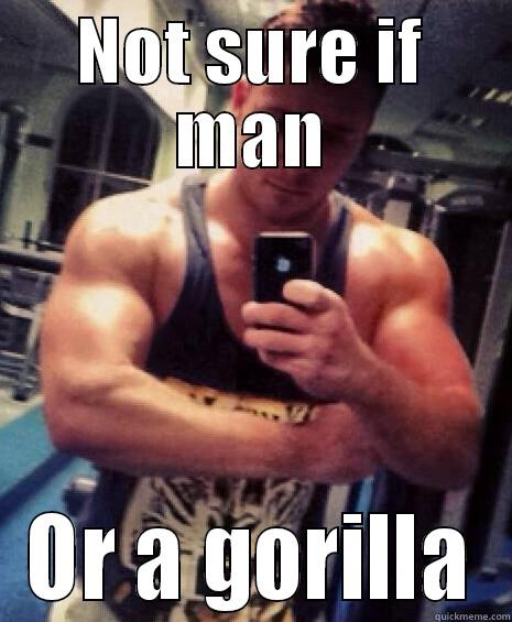 NOT SURE IF MAN OR A GORILLA Misc