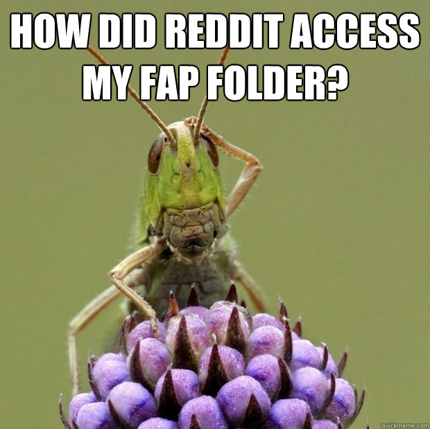 How did Reddit Access my Fap folder?  - How did Reddit Access my Fap folder?   Confused grasshopper