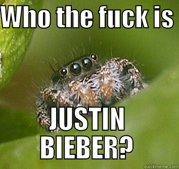 WHO THE FUCK IS  JUSTIN BIEBER? Misunderstood Spider