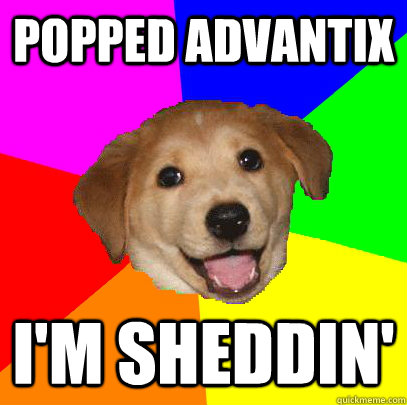 popped advantix i'm sheddin'  Advice Dog