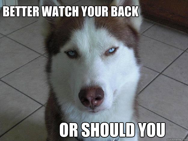 Better watch your back or should you - Better watch your back or should you  Anti Conspiracy Dog