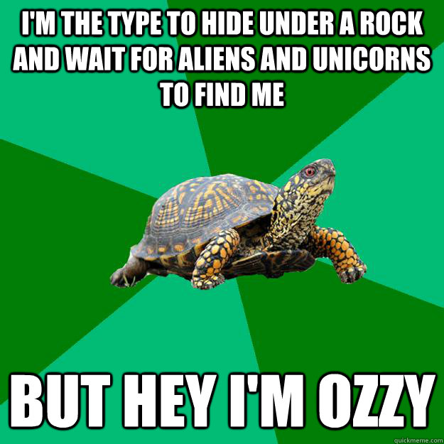 I'm the type to hide under a rock and wait for aliens and unicorns to find me but hey I'm Ozzy   Torrenting Turtle