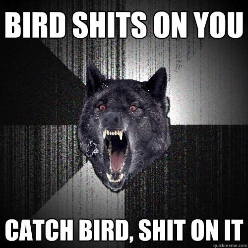 Bird shits on you Catch bird, shit on it  Insanity Wolf