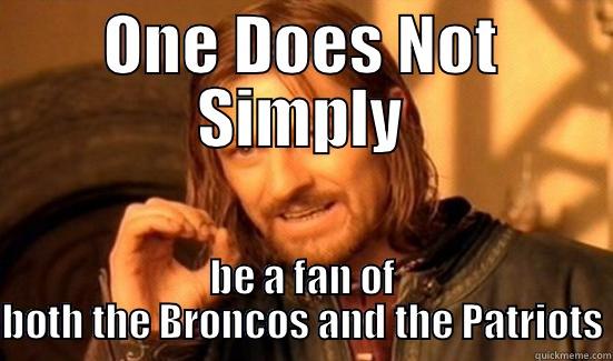 ONE DOES NOT SIMPLY BE A FAN OF BOTH THE BRONCOS AND THE PATRIOTS Boromir