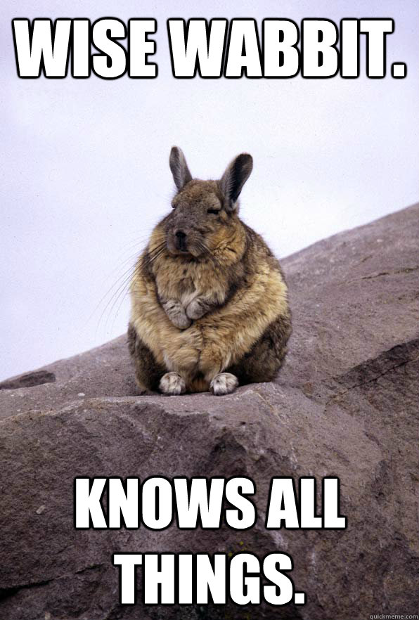 Wise Wabbit. knows all things.  