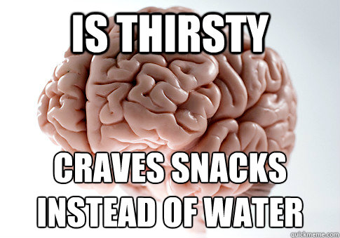 is thirsty craves snacks instead of water   Scumbag Brain