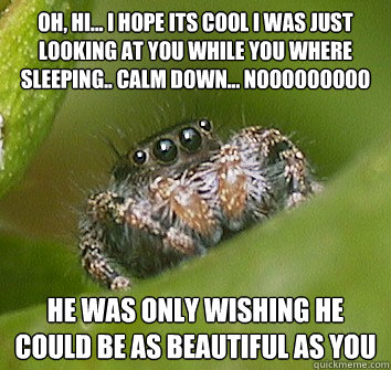 Oh, hi... I hope its cool i was just looking at you while you where sleeping.. calm down... nooooooooo He was only wishing he could be as beautiful as you  Misunderstood Spider