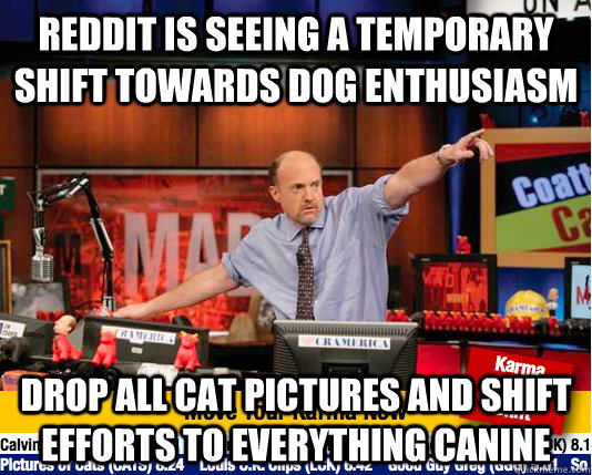 Reddit is seeing a temporary shift towards dog enthusiasm Drop all cat pictures and shift efforts to everything canine  - Reddit is seeing a temporary shift towards dog enthusiasm Drop all cat pictures and shift efforts to everything canine   Mad Karma with Jim Cramer