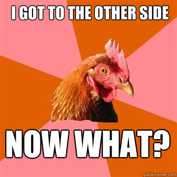 I got to the other side Now what? - I got to the other side Now what?  Anti-Joke Chicken