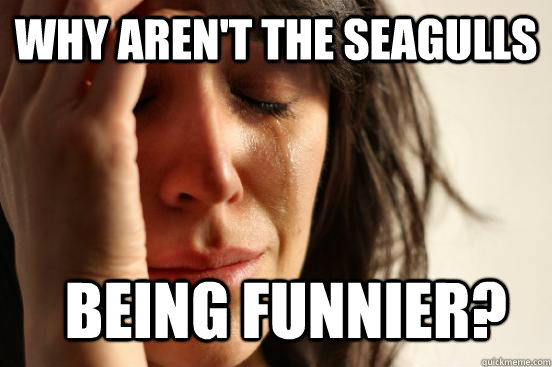 Why aren't the seagulls being funnier?  First World Problems