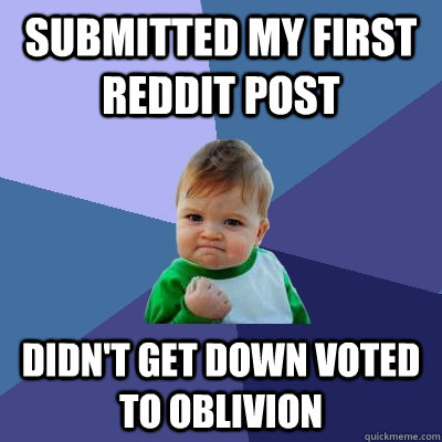 submitted my first reddit post didn't get down voted to oblivion  Success Kid