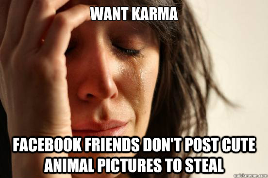 Want Karma Facebook friends don't post cute animal pictures to steal  First World Problems