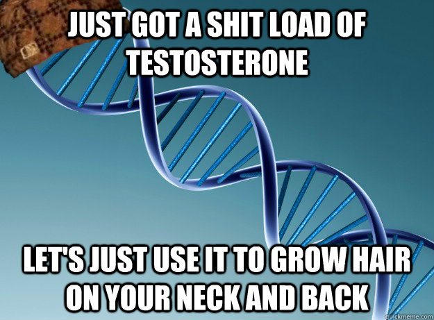 Just got a shit load of testosterone Let's just use it to grow hair on your neck and back  Scumbag Genetics