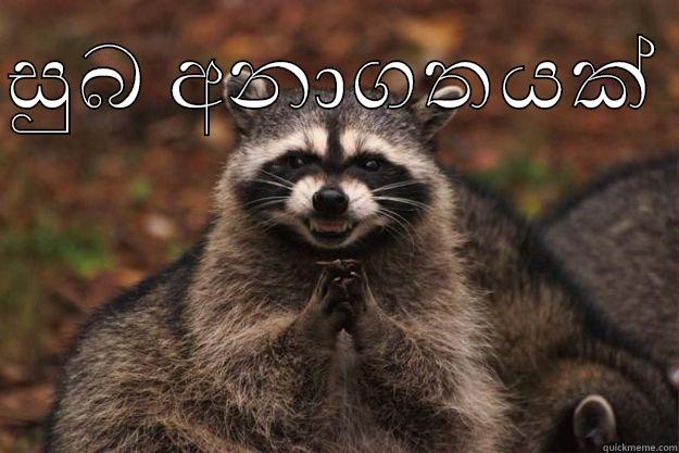 සුබ අනාගතයක්   Evil Plotting Raccoon