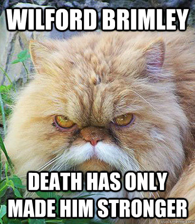 Wilford brimley death has only made him stronger  Diabeetus Cat