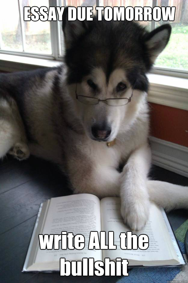 ESSAY DUE TOMORROW write ALL the bullshit - ESSAY DUE TOMORROW write ALL the bullshit  Condescending Literary Pun Dog