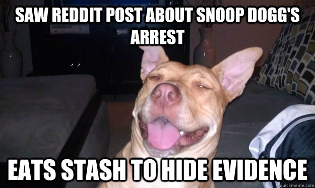 saw reddit post about Snoop Dogg's arrest eats stash to hide evidence  10 Dog