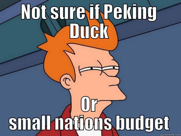 NOT SURE IF PEKING DUCK OR SMALL NATIONS BUDGET Futurama Fry