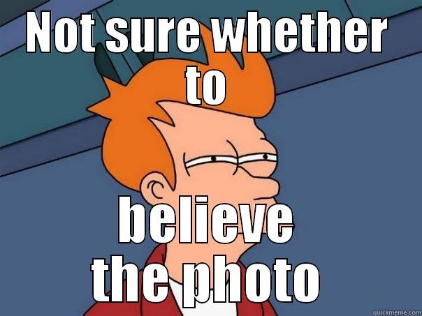 NOT SURE WHETHER TO BELIEVE THE PHOTO Futurama Fry