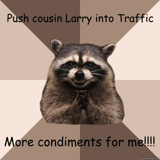 Push cousin Larry into Traffic More condiments for me!!!!  Evil Plotting Raccoon