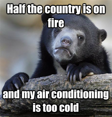 Half the country is on fire and my air conditioning is too cold - Half the country is on fire and my air conditioning is too cold  Confession Bear