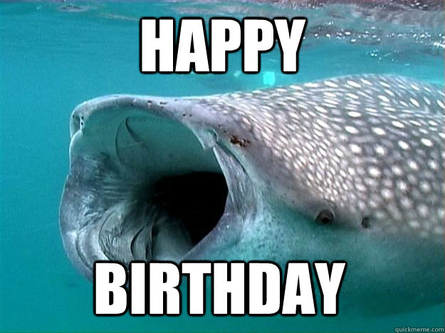 HAPPY Birthday - HAPPY Birthday  scumbag whale shark